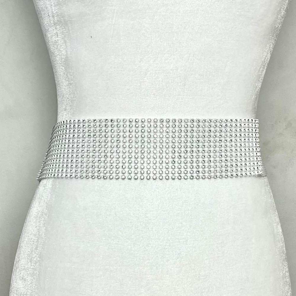 sparkly silver belt